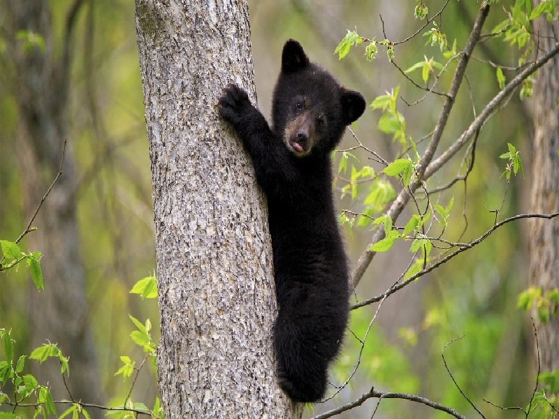 <strong>包头试管移植婴儿（试管检测厂招聘要求）</strong>